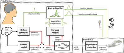 A Review of Sensory Feedback in Upper-Limb Prostheses From the Perspective of Human Motor Control